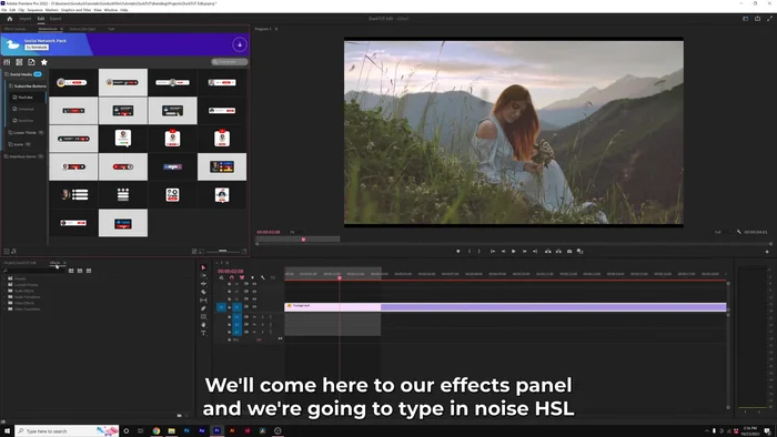 Digita "rumore HSL" e applica l'effetto "Rumore HSL Automatico" al tuo filmato.