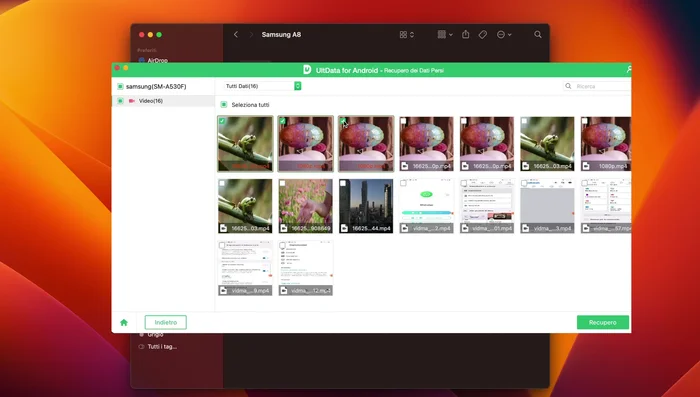 Seleziona i file da recuperare.