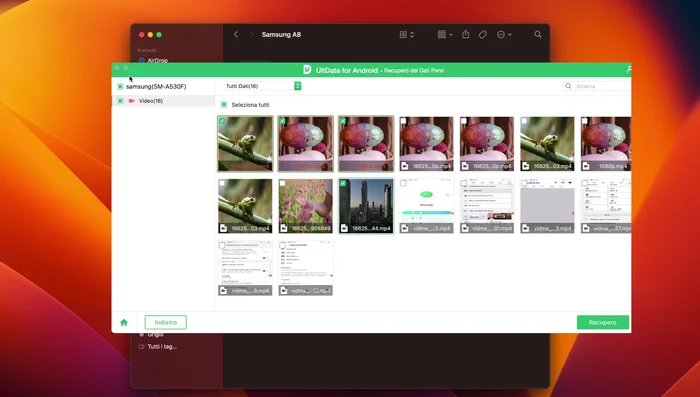Trascina i file recuperati nella directory appropriata del tuo dispositivo Android (se necessario).