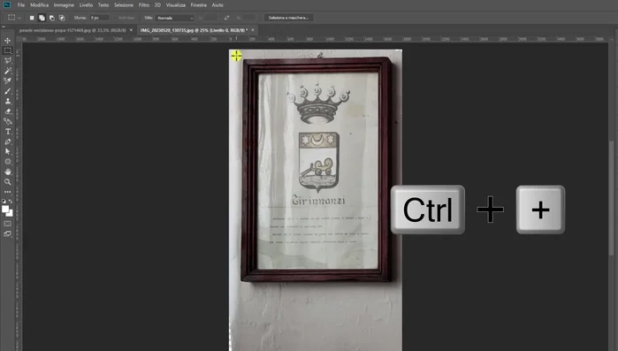 Esportare l'immagine corretta (File > Esporta > Esporta come > PNG o JPEG).