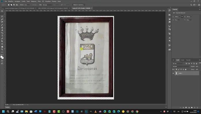 Copiare l'immagine ridimensionata.