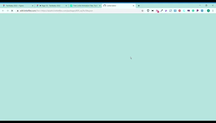 Scarica il file JSON dell'animazione.