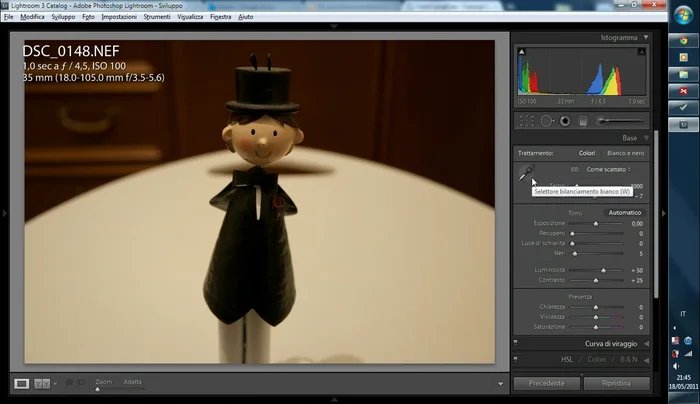 Selezionare un'area di colore neutro (bianco o grigio) nell'immagine.
