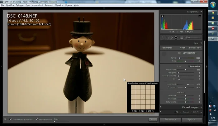 Selezionare un'area di colore neutro (bianco o grigio) nell'immagine.