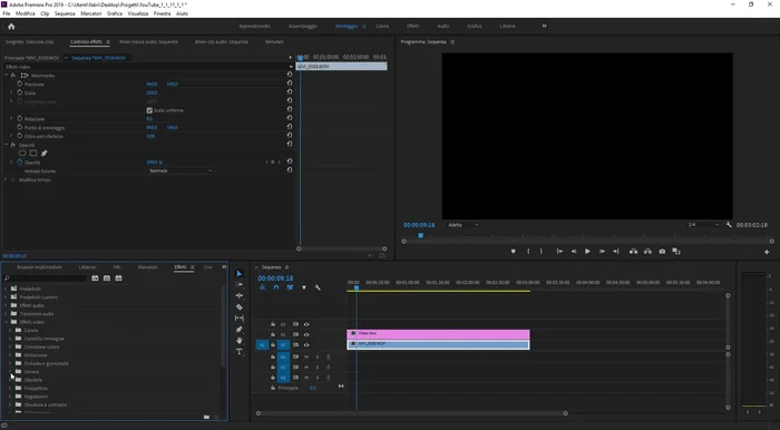 Applicare l'effetto 'Cerchio' (Effetti > Effetti video > Generatore > Cerchio) all'elemento video nero.