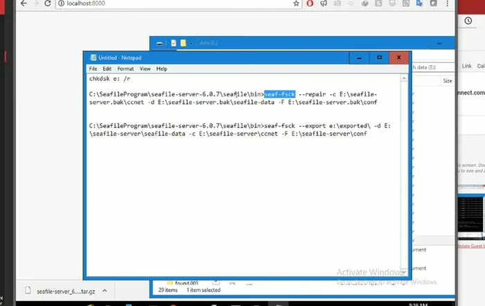 Utilizzo dello strumento di controllo disco di Seafarer (percorso specifico e parametri di riparazione).
