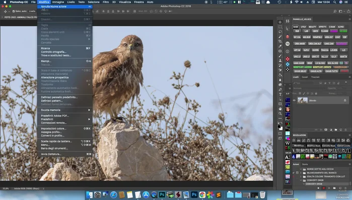 Verificare che lo "Spazio sorgente" sia impostato su "Adobe RGB"
