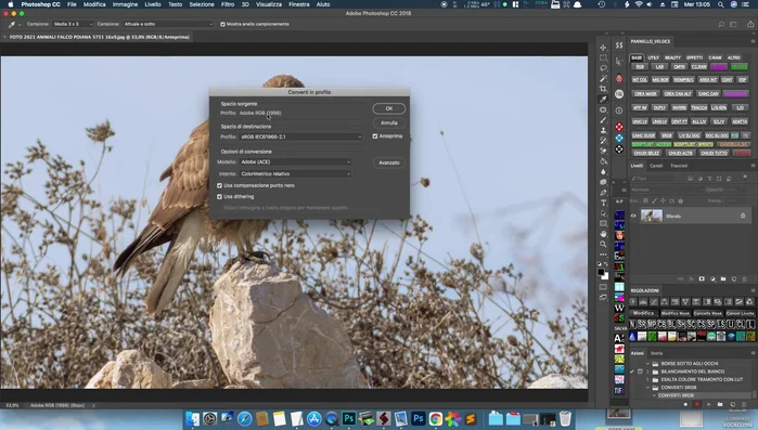 Verificare che lo "Spazio sorgente" sia impostato su "Adobe RGB"