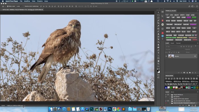 Aprire la foto in Adobe Photoshop.