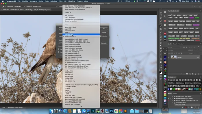 Selezionare "sRGB" come spazio di destinazione.