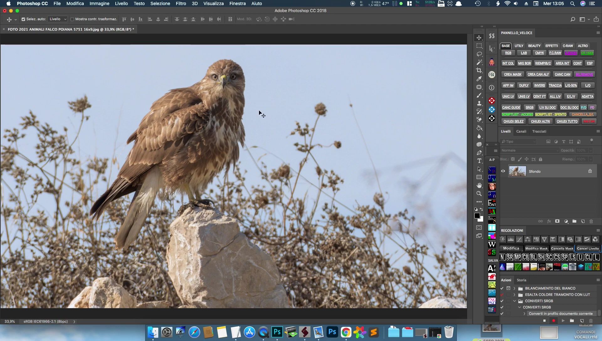 Convertire foto da Adobe RGB a sRGB per il Web: Guida Rapida e Semplice