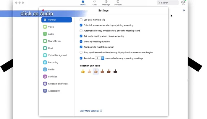 Nella colonna di sinistra, clicca su "Audio".