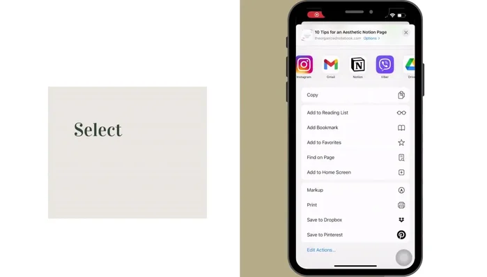 Selezionare l'app Notion.