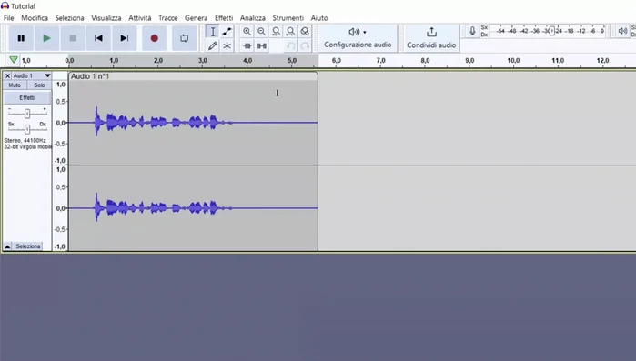 Selezionare l'intera forma d'onda facendo doppio clic su di essa.