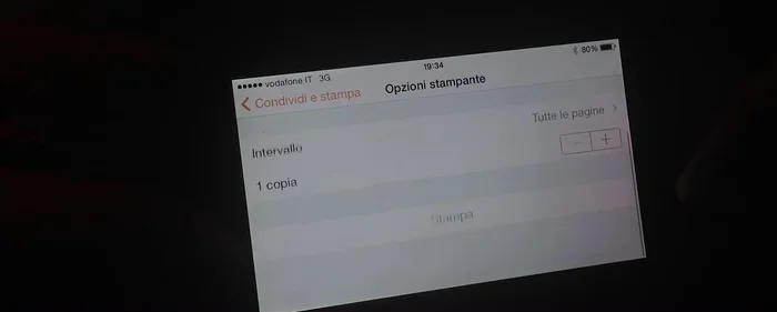 Selezionare la stampante, l'intervallo di pagine, il numero di copie e premere 'Stampa'.