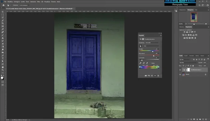 Utilizzare la maschera di livello (la miniatura bianca/nera accanto al livello di regolazione) per proteggere le aree che non si vogliono modificare. Utilizzare un pennello nero per nascondere gli effetti della regolazione e un pennello bianco per ripristinarli.