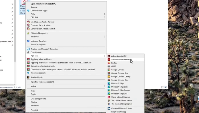 Aprire il PDF con Adobe Acrobat Reader.