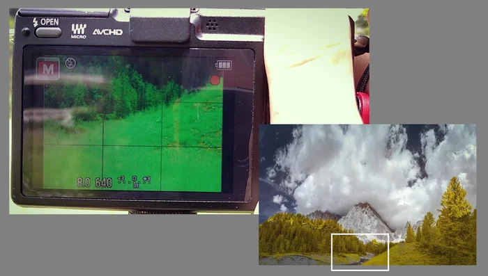 Scatta le foto, sovrapponendole accuratamente (usa la griglia come riferimento).