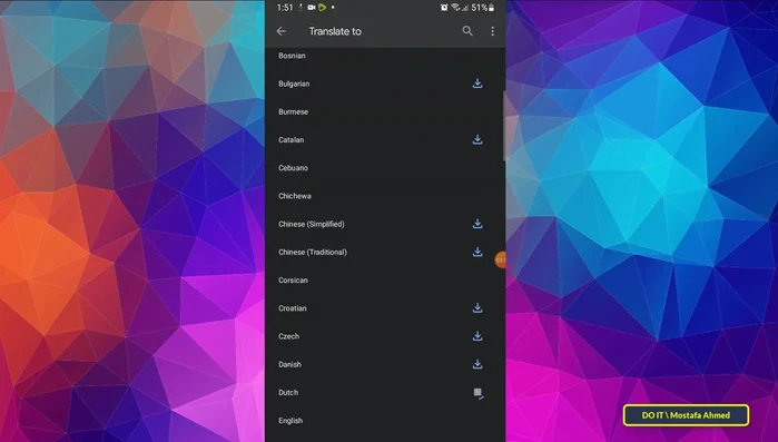 Conferma il download e attendi il completamento. Verifica l'icona di spunta per conferma.