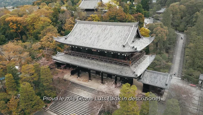 Utilizza la modalità "Normal Mode" per la maggior parte delle riprese. Per riprese estremamente fluide e cinematografiche, utilizza la "Cine Mode" (velocità di beccheggio a 10, fluidità a 25, velocità imbardata a 15, fluidità imbardata a 30). Per riprese più veloci e dinamiche usa la "Sport Mode".