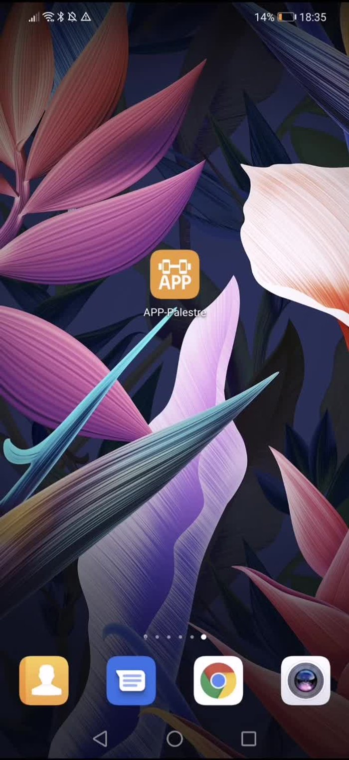 Inserisci 'Palestra Digitale' nel campo di ricerca e clicca sull'icona della lente d'ingrandimento.