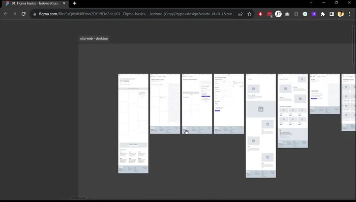 Organizzazione con Sezioni e Pagine