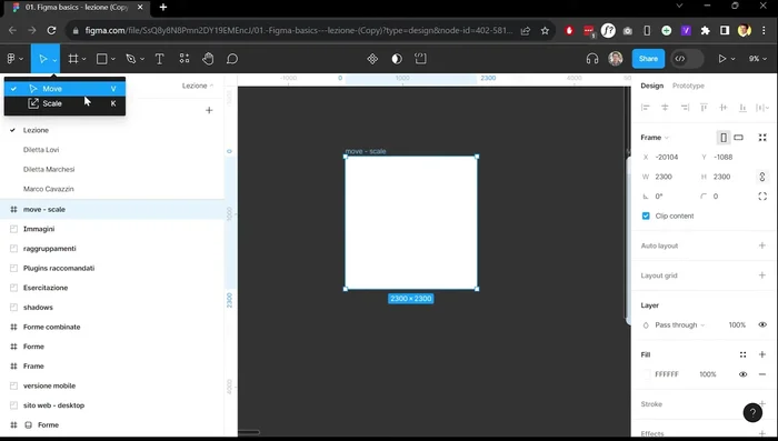 Utilizzo dei comandi 'Move' e 'Scale'