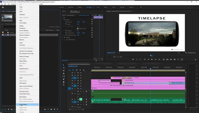 Seleziona il file video importato in Premiere Pro.