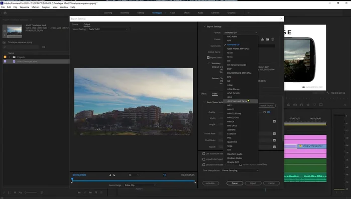 Nel menu dei formati, seleziona "GIF Animata" (evita "Sequenza GIF", che crea una serie di immagini statiche).