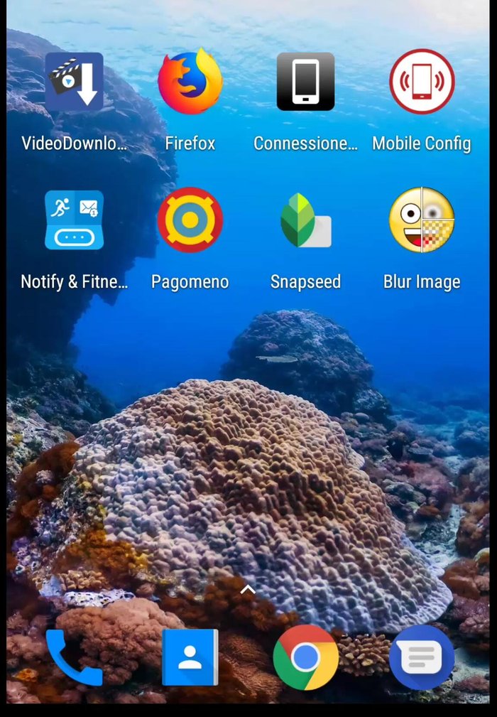 Scarica e apri l'applicazione 'Snapseed'.