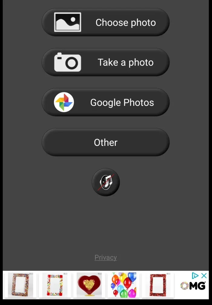 Seleziona la foto in cui vuoi nascondere il volto dalla galleria o scattane una nuova.