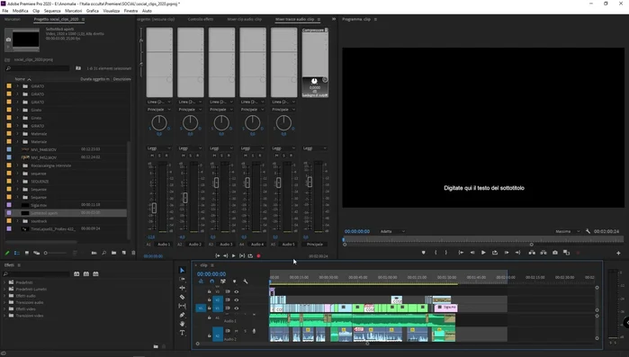 Fare doppio click sull'oggetto sottotitoli nella timeline per aprire il pannello di editing.