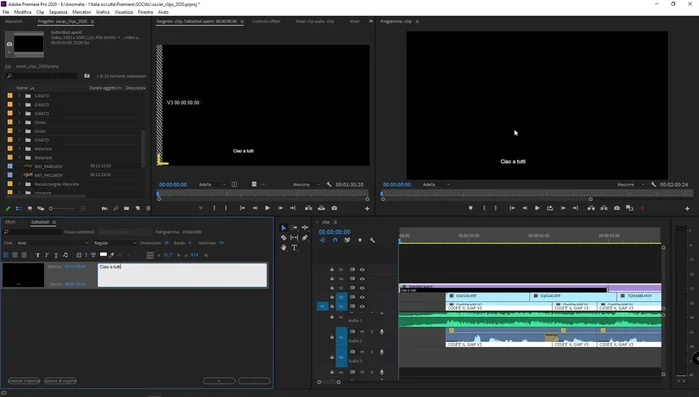 Inserire il testo dei sottotitoli, modificando font, dimensione, colore e posizione.