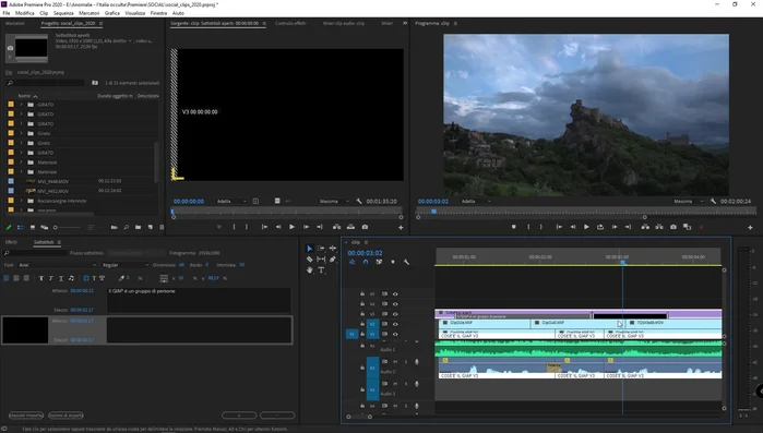 Aggiungere nuovi sottotitoli cliccando sul pulsante '+' nel pannello.