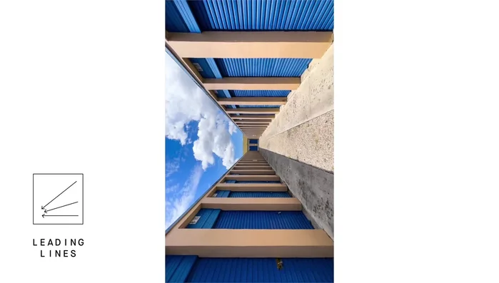 Linee guida: Utilizzare linee per guidare lo sguardo dell'osservatore attraverso l'immagine.