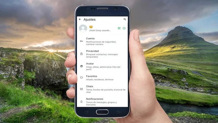 Attiva la "Visibilità del file" e seleziona la qualità HD nelle impostazioni di WhatsApp.