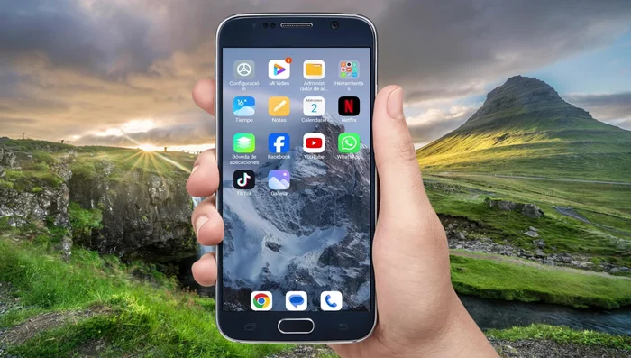 Utilizza un servizio online per scaricare il video da TikTok e poi condividerlo su WhatsApp.