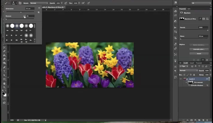 Regolare le dimensioni del pennello in base alle proprie esigenze.