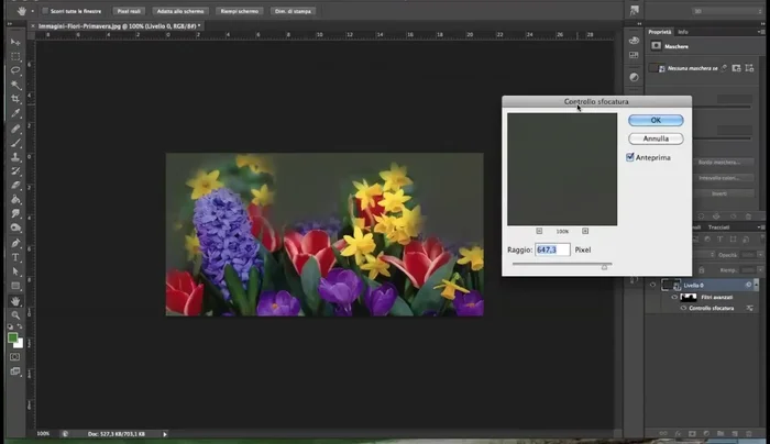 È possibile modificare ulteriormente la sfocatura cliccando nuovamente su 'Controllo sfocatura' anche dopo aver applicato il filtro.