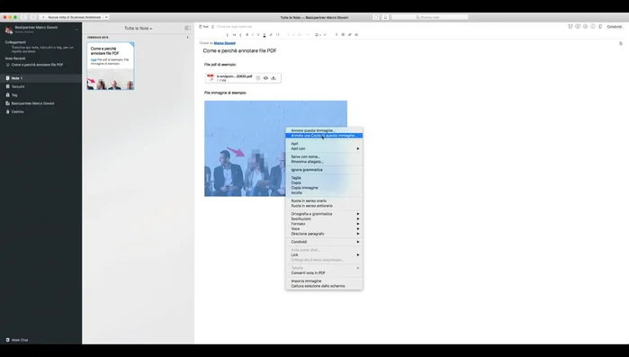 Salvare una copia dell'immagine annotata per preservare l'originale.