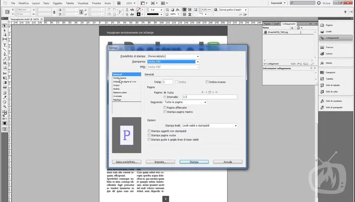 Verifica le impostazioni grafiche (font, gestione colore, ecc.)