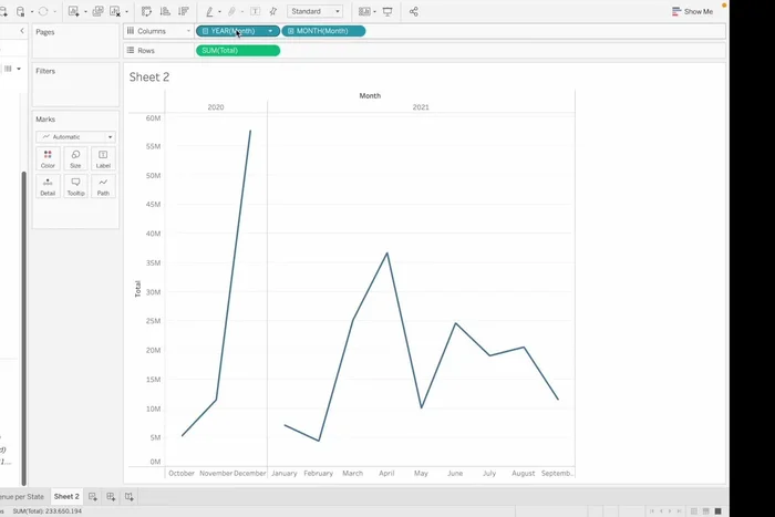 Visualizzazione dell'anno e del mese: Modificare le impostazioni della colonna 'Mese' per visualizzare sia l'anno che il mese.