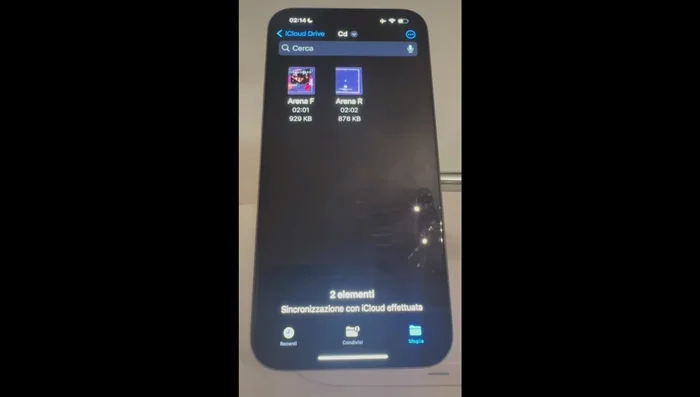 Duplicare file singoli o multipli.