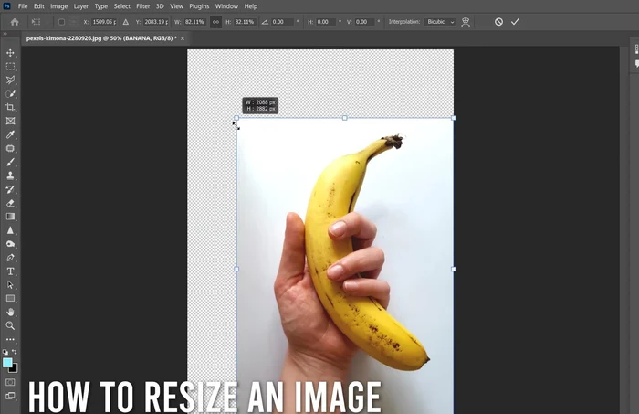 Ruota l'immagine usando l'angolo di rotazione o trascinando i punti di controllo.