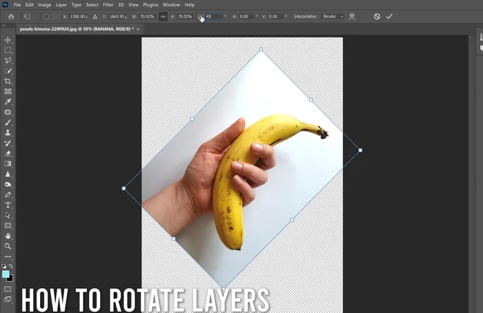 Ruota l'immagine usando l'angolo di rotazione o trascinando i punti di controllo.