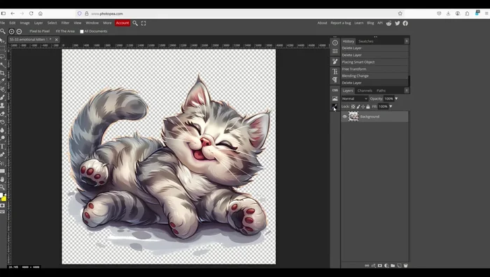 Una volta terminato, clicca su 'Fine' per applicare le modifiche all'immagine principale.