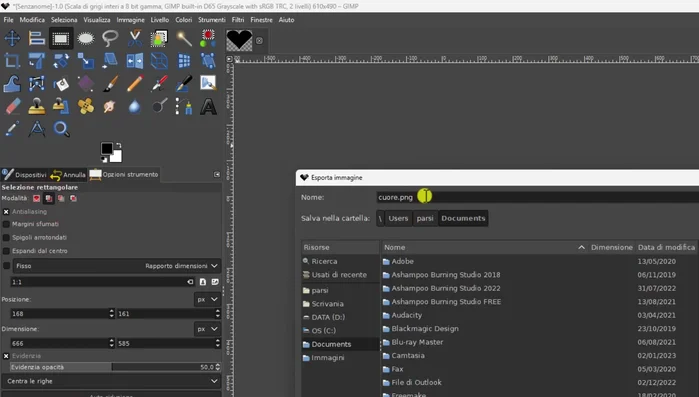 Salvare l'immagine in formato .GBR (cartella pennelli).