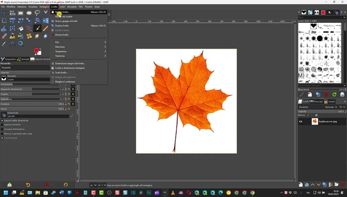 Convertire l'immagine in scala di grigi.