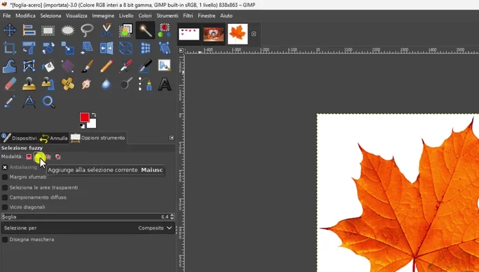 Convertire l'immagine in scala di grigi.