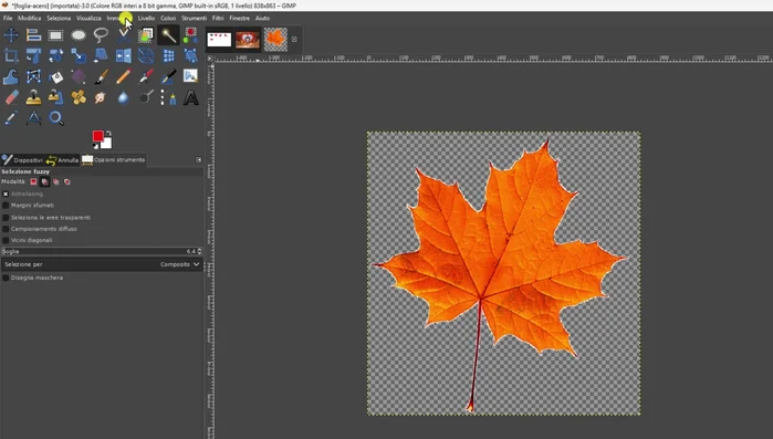 Convertire l'immagine in scala di grigi.